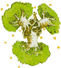Baobabs.gif (5631 byte)